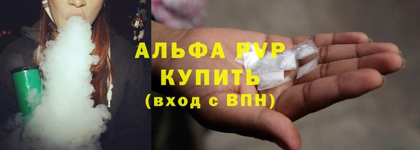 ПСИЛОЦИБИНОВЫЕ ГРИБЫ Верея